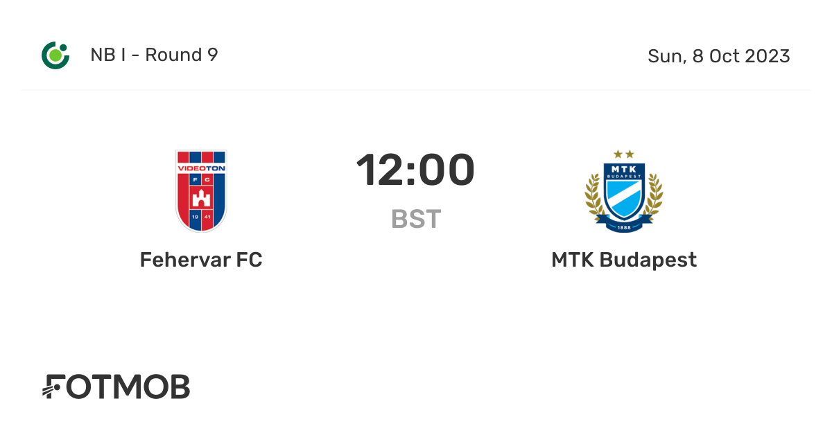 Fehervar FC, Fehervar FC, Visão Geral